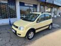 usato FIAT Panda