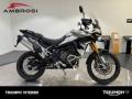 nuovo TRIUMPH Tiger 900 Rally Pro