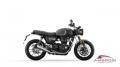 nuovo TRIUMPH Speed Twin