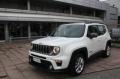 usato JEEP Renegade