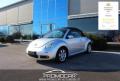 usato VOLKSWAGEN New Beetle