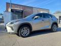 usato LEXUS NX 300