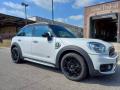 usato MINI Countryman