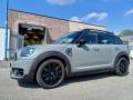 usato MINI Countryman