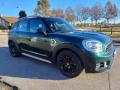 usato MINI Countryman