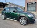 usato MINI Countryman