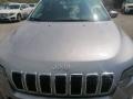 usato JEEP Cherokee