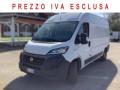 usato FIAT Ducato