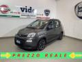 usato FIAT Panda