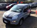 usato FIAT Panda