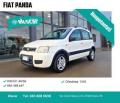 usato FIAT Panda