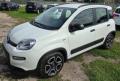 usato FIAT Panda