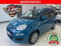 usato FIAT Panda