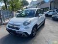 usato FIAT 500L