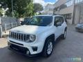 usato JEEP Renegade