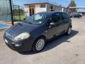 usato FIAT Punto Evo