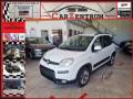 usato FIAT Panda