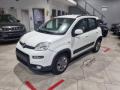 usato FIAT Panda