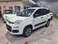 usato FIAT Panda