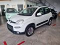 usato FIAT Panda