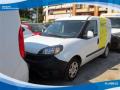 usato FIAT Doblo