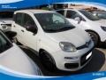 usato FIAT Panda