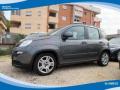 usato FIAT Panda