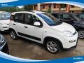 usato FIAT Panda