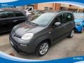 usato FIAT Panda