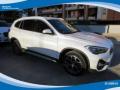 usato BMW X1