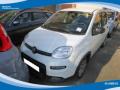 usato FIAT Panda