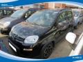 usato FIAT Panda