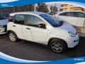 usato FIAT Panda