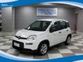 usato FIAT Panda