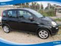 usato FIAT Panda