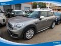 usato MINI Countryman