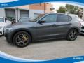 usato ALFA ROMEO Stelvio