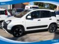 usato FIAT Panda Cross