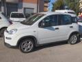 usato FIAT Panda