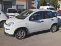 usato FIAT Panda