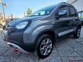 usato FIAT Panda Cross