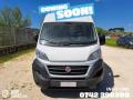 usato FIAT Ducato