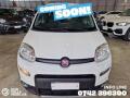 usato FIAT Panda