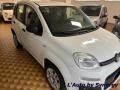 usato FIAT Panda