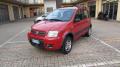 usato FIAT Panda