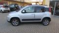 usato FIAT Panda