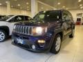 usato JEEP Renegade