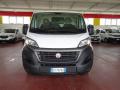 usato FIAT Ducato