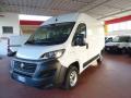 usato FIAT Ducato