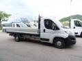 usato FIAT Ducato